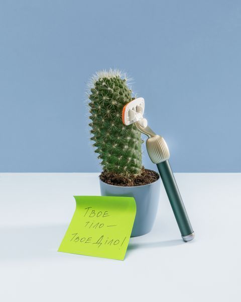 FLER стартовий набір засобів для гоління The Razor Starter Set &ndash; Pine &ndash; Deep and Elegant &ndash; сосна &ndash; глибокий та елегантний RAZ-SET-P фото