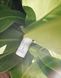 TiZO Мінеральний сонцезахисний стік з відтінком Mineral Stick Tinted SPF 45 154 фото 6
